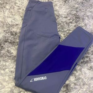 Gymshark Leggings in Slate and Deep Violet